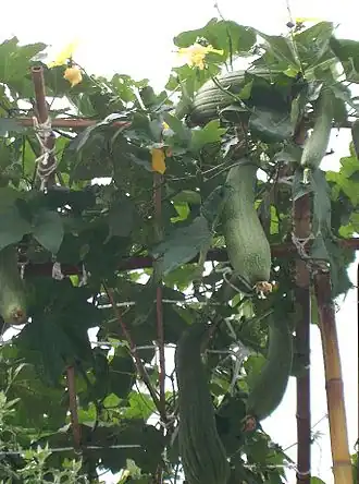 alternativní popis obrázku chybí