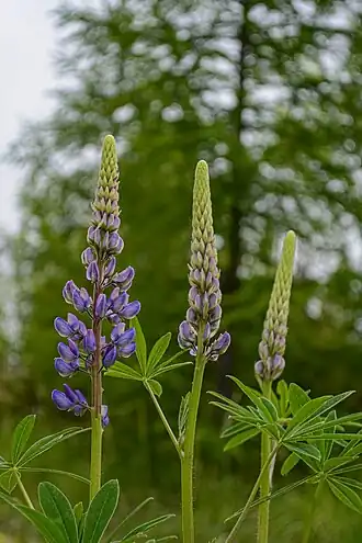 alternativní popis obrázku chybí