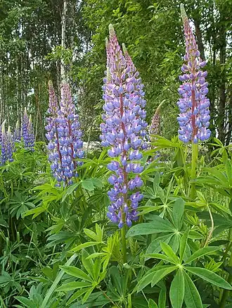 alternativní popis obrázku chybí