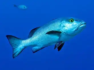 alternativní popis obrázku chybí