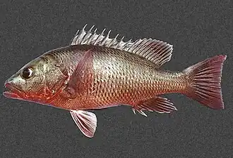 alternativní popis obrázku chybí