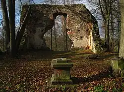 Lutová - zřícenina kostela Narození Panny Marie (3).JPG