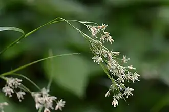 alternativní popis obrázku chybí