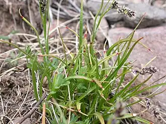 alternativní popis obrázku chybí