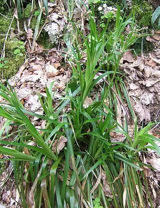 alternativní popis obrázku chybí