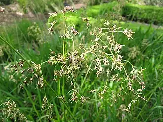 alternativní popis obrázku chybí