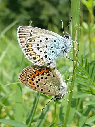 alternativní popis obrázku chybí