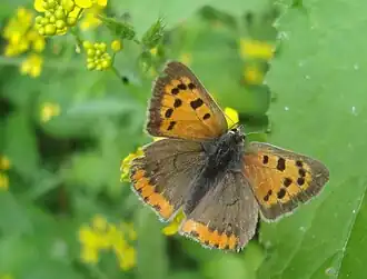 alternativní popis obrázku chybí