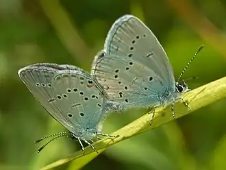 alternativní popis obrázku chybí