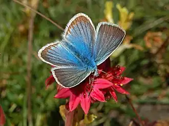 alternativní popis obrázku chybí