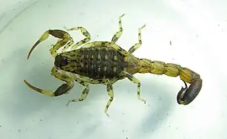 alternativní popis obrázku chybí