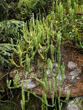 alternativní popis obrázku chybí