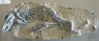 alternativní popis obrázku chybí