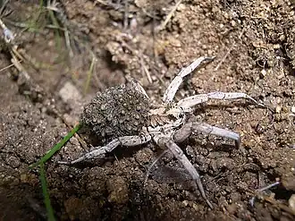 alternativní popis obrázku chybí