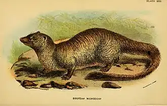 alternativní popis obrázku chybí