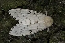 alternativní popis obrázku chybí