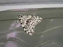 alternativní popis obrázku chybí