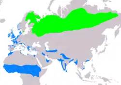 Rozšíření slučky malé