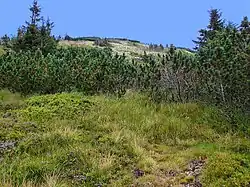 Nepřístupný vrchol Lysé hory