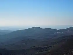 Lysák ze Sninského kameňa