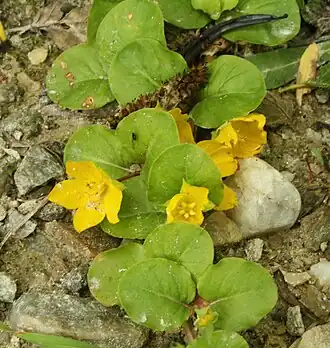 alternativní popis obrázku chybí