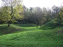 třešňovka u Houslí