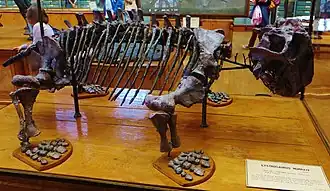 alternativní popis obrázku chybí