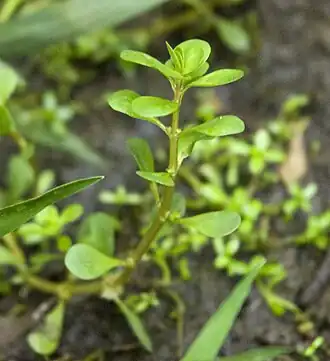 alternativní popis obrázku chybí
