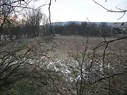 Místo staré přemilovické tvrze (vegetací zarostlý kopeček) Sedlec (okr. K. Vary).jpg