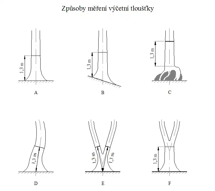 Určení místa měření
