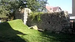 Městské opevnění (Nové Hrady).JPG