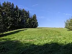 Mříčná - tvrziště Smiřično (stav září 2023) (13).jpg