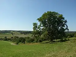 Krajina Řevničovské pahorkatiny na horním toku Loděnice u Mšeckých Žehrovic
