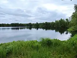 Bažiny Mūšos tyrelio pelkė