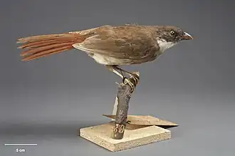 alternativní popis obrázku chybí