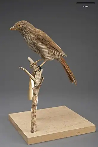 alternativní popis obrázku chybí