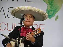 Hráč na mexickou vihuelu (Felix Aguirre)