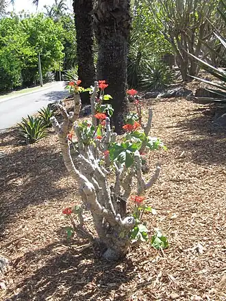 alternativní popis obrázku chybí