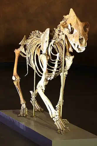 alternativní popis obrázku chybí