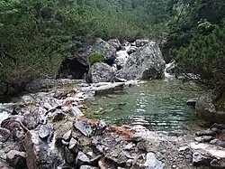 potok pod Zamkovského chatou