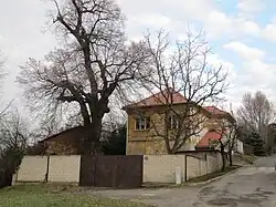 Mařatice, Vinohradská 244.jpg