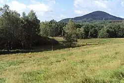 Trávnický vrch od Mařeniček