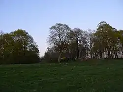 Starý dům ve vsi Mažučiai