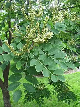 alternativní popis obrázku chybí