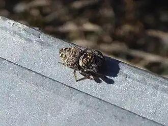 alternativní popis obrázku chybí