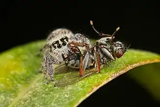 alternativní popis obrázku chybí