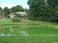 Rybníček v obci