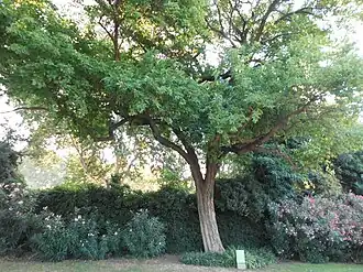 alternativní popis obrázku chybí