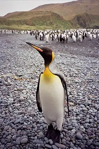 alternativní popis obrázku chybí