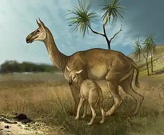 alternativní popis obrázku chybí